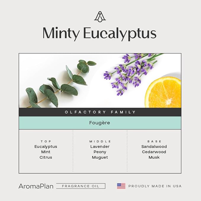 AromaPlan Hotel Scents Minty Eucalyptus 16 Fl Oz (473ml), Home Luxury Aroma & Hotel Diffuser Oil- Hotel Diffuser Oil for Aromatherapy- USA Made, Bigger Bottle, Bolder Aroma & Longer Lasting