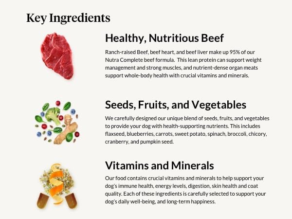 ULTIMATE PET NUTRITION Nutra Complete, 100% Freeze Dried Veterinarian Formulated Raw Dog Food with Antioxidants Prebiotics and Amino Acids, (1 Pound, Beef)