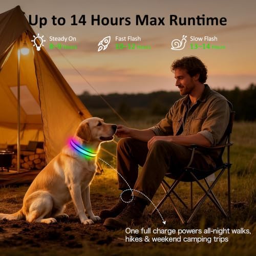 LED Dog Collar Light Up, USB Rechargeable Multicolor Glow Collar for Dogs