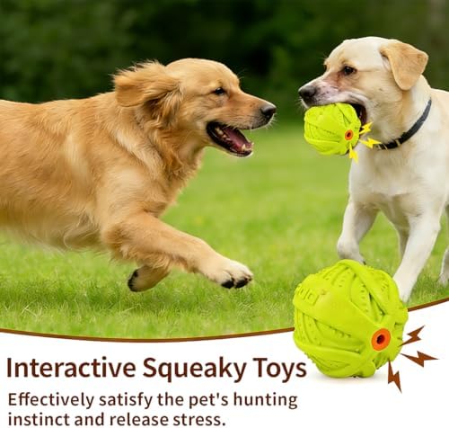 LaRoo Squeaky Dog Ball Toy,Durable Natural Rubber Squeaker Ball Throwing Training,Teeth Cleaning Chew Toy for Pet Medium and Large Dogs (3.5In Green)