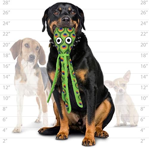 TUFFY® - 2 Pack Original : Squid Dog Toy : : Ultra Durable Plush Toy with Multiple Layers & Reinforced Seams, Washable and Floats, Original Construction