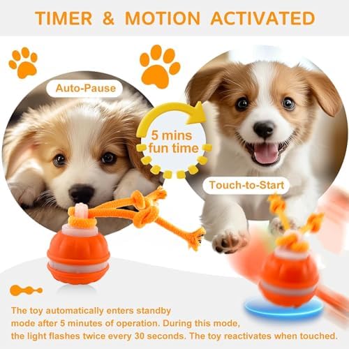 2PC P06 Smart Interactive Dog Toys Dog Balls with Rope for Small Medium Dog