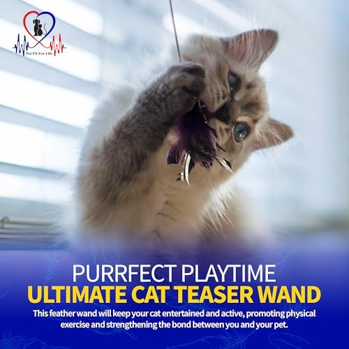 Pet Fit For Life Cat Feather Interactive Wand Toy Set, Red & Purple - 2pack