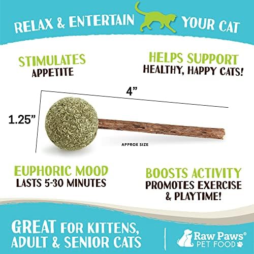 Raw Paws Catnip & Silvervine Lollipops Interactive Cat Toy 6 Pack - Sticks