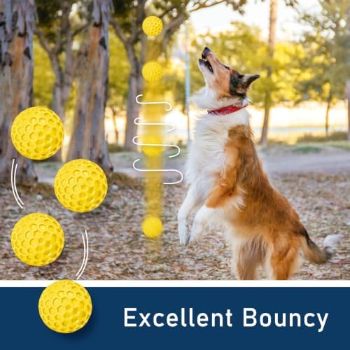 Indestructible Squeaky Dog Ball for Aggressive Chewers, Rubber Interactive Dog Toy for Teething, Relieving Anxiety. Chew Toy for Large, Medium Breeds, Outdoor & Indoor Ball.