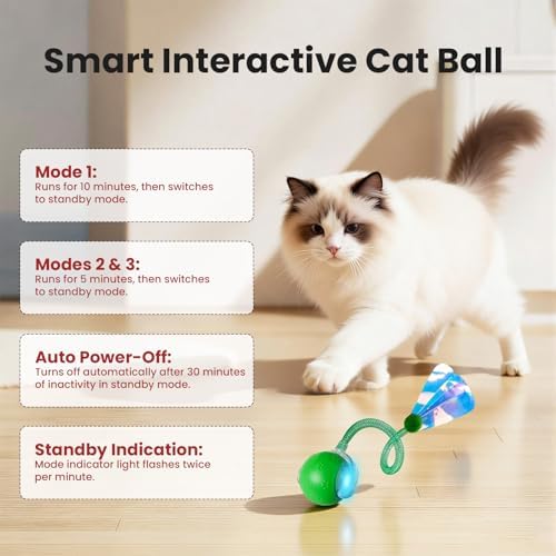 Rocfish Durable Interactive Cat Toys for Indoor Cats (Green, 03)