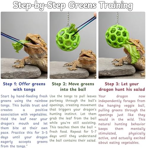 Bearded Dragon Enrichment Toys Feeding Tongs Accessories, Veggie Feeder Ball and Feeding Tongs with Rubber Tip, Greens Training Kit for Reptile Lizard Gecko, Reptile Tank Accessories (Green)
