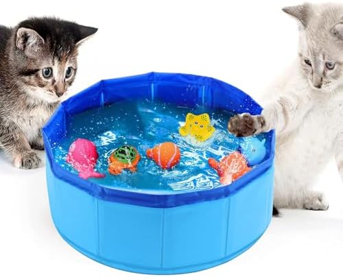 Cat Pool Toy with Fish, Portable Pet Pool Toy, Pet Water Toys for Indoor, Self Play Pet Toys, Funny Interactive Cat Toys