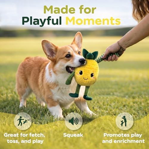 Bow Wow Pet Squeaky Plush Dog Toy with Crinkle, Soft Durable Stuffed Dog Toy for Small & Medium Dogs, Interactive Fetch, Tug & Chew Toy, Engaging Pet Toy for Play, Enrichment & Comfort
