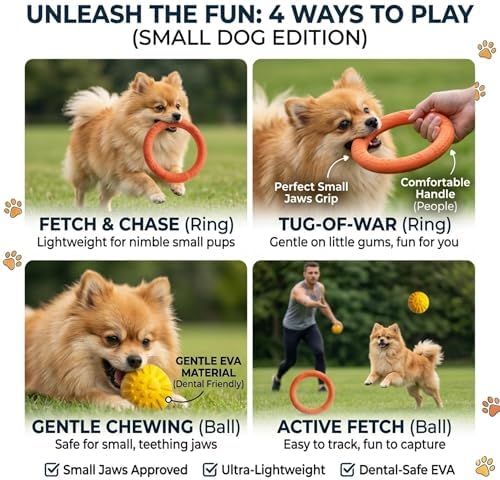 Small Dog Ball with Strap, Floating EVA Interactive Toy (Orange, Small)
