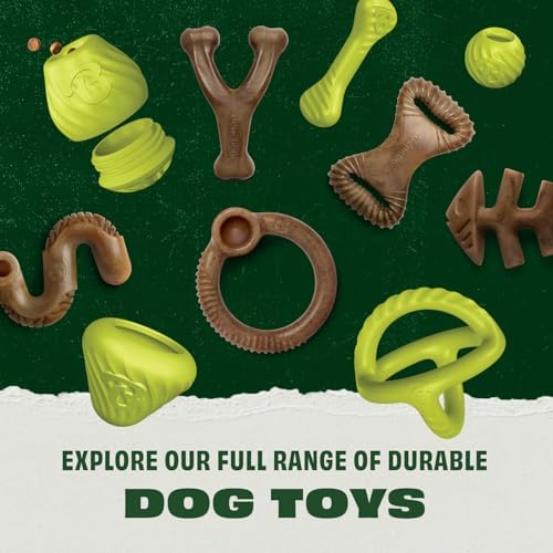 Benebone Natural Rubber Dog Bone Chew Toy, Natural Rubber | Natural Rubber, Tough But Gentle, Easy-Grip Design, Great for Fetch, Dishwasher Safe, Dog Bones, Long-Lasting