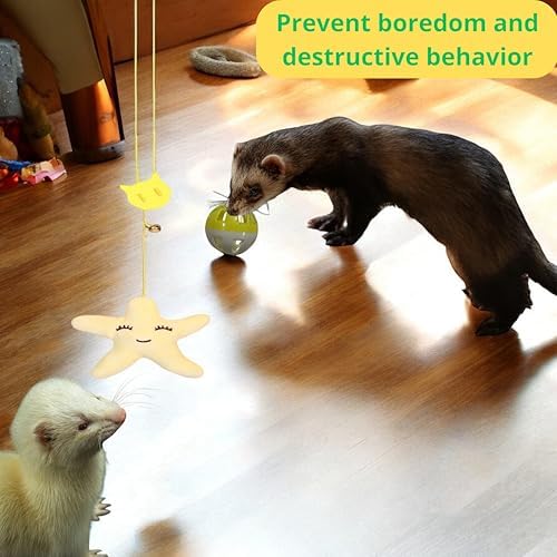 Interactive Bell Ball and Hanging Toy for Ferret, Star Hanging Toys and Interactive Balls for Ferrets Cat Small Dogs, Ferret Enrichment Toys, Ferret Accessories, Small Pet Gifts (Orange - Star)