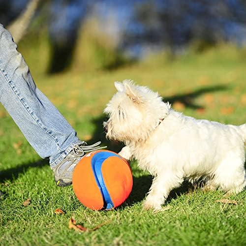 Chuckit! Kick Fetch Ball Dog Toy, Large, 8in, for Large Dogs, Floats
