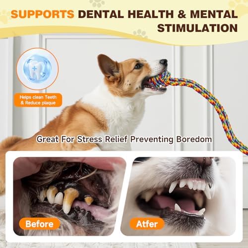 Interactive Dog Toy with Suction Cup, Rope Ball & Built-in Bell, Rainbow