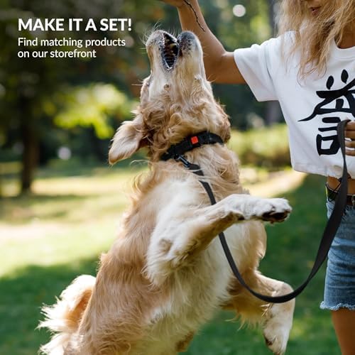 Reflective Dog Collar, Quick-Release Buckle (Black, 12-16 Inch)