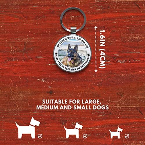 QR Code Dog Tag -On Pet ID Name Tag for Dogs, Cats & Horses – Custom Personalized Noiseless Tag with Jingle-Free Fit & Online Profile Display