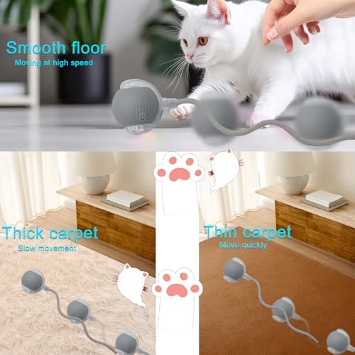 Interactive Cat Dog Toy Ball with LED Light, Automatic Rolling(Grey)