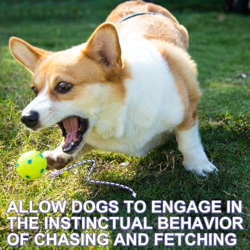 Dog Toy Balls for Small Dogs & Puppies, Chew & Chase Interactive 2” Soft Latex Balls, Durable Dogs Play Balls for Indoor/Outdoor (9 Pcs)