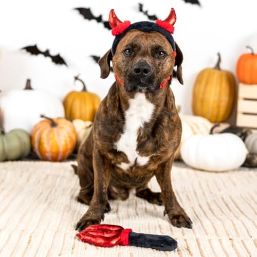 Fringe Studio Wear & Play Plush Dog Toy, Cute Lil Devil, 2 Piece Set, PetShop Collection (638010)