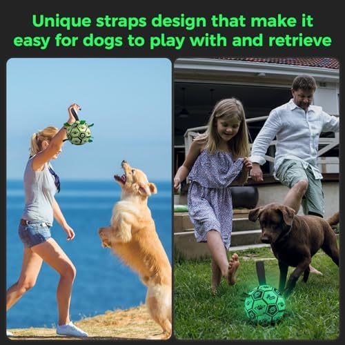 QDAN Glow in the Dark Dog Ball, Light Up Dog Toys, Luminous Glow Soccer Ball for Dogs, Outdoor Dog Toys, Doggy Water Toy, Puppy Birthday Gifts for Small Medium (6 Inch)