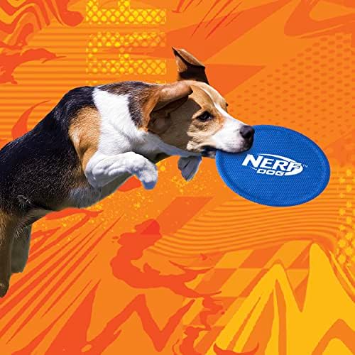Nerf Dog Nylon Flyer Dog Toy, Flying Disc, Lightweight, Durable and Water Resistant, Great for Beach and Pool, 9 inch diameter, for Medium/Large Breeds, Single Unit, Blue