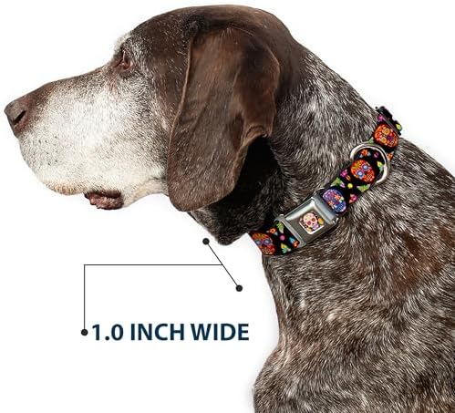 Dog Collar Seatbelt Buckle Colorful Calaveras Black Multi Color 16 to 23 Inches 1.5 Inch Wide