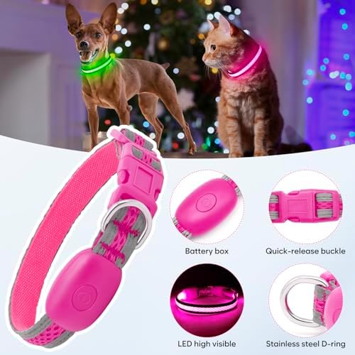 Flashseen LED Dog Collar, Light Up Dog Collar USB Rechargeable, Pink, XS