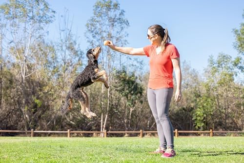 Chuckit! Birthday Fetch Ball, Medium 2.5in, for Dogs 20-60lbs
