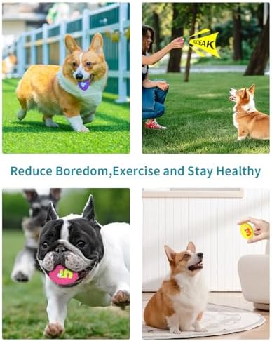 Squeaky Dog Toys for Small Dogs, 3 Pack Soft Puppy Chew Toy Set, Funny Numbers Squeaky Dog Balls, Interactive Fetch Playing Egg Balls for Puppy Small Breeds, 1.7"*2.4"