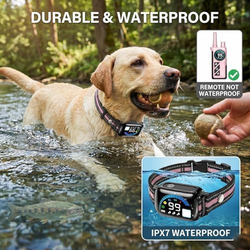 Dog Shock Collar with Remote Control, Shock Collar for Dogs, Pink