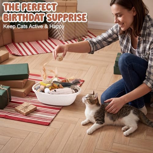 Supervitae 24 in 1 Kitten Toys for Indoor Cat Storage Basket Gift Toys Set Hanging Interactive Cat Toy Matatabi Stick and Crinkle Balls Teething Toy, Attract Kitten to Swat Hunt for Pet Indoor