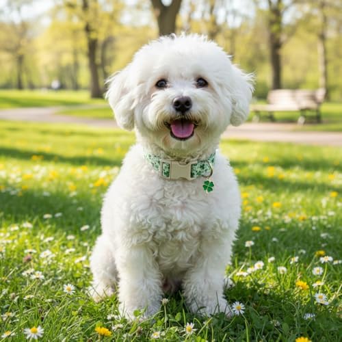 Spring Dog Collars for Medium Dogs, Green Dog Collar with Green Clover Pattern, Medium Girl Boy Pet Collar with Spring Summer Design, M