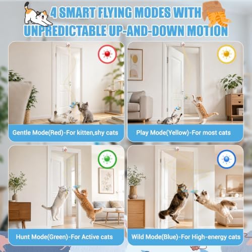 Interactive Cat Toys for Indoor Cats, Automatic Flying Bird & Mouse