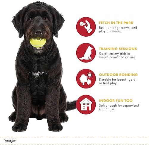 Wrangler Tennis Balls for Dogs, Interactive Fetch Toy (3-Pack)