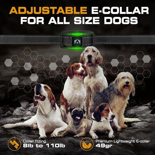 INVIROX Dog Training Collar with Remote, Shock Collar for Dogs 3300ft Range