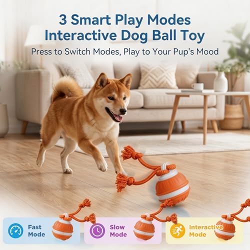 Interactive Dog Toys Automatic Rolling Ball with Rope Orange