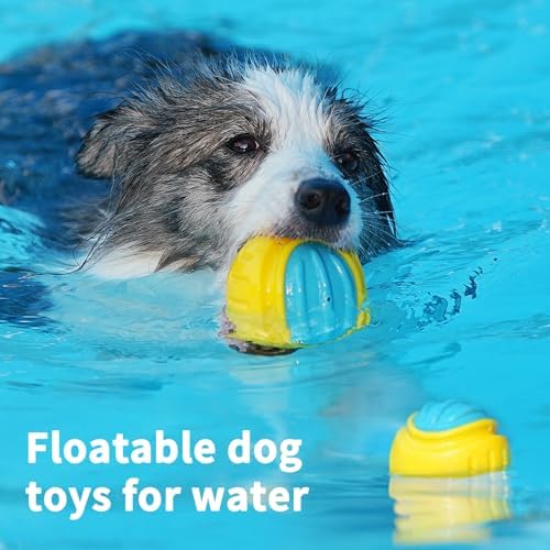 LaRoo Durable Squeaky Dog Ball, 3 Inch TPR Chew Ball Toy for Medium Dogs