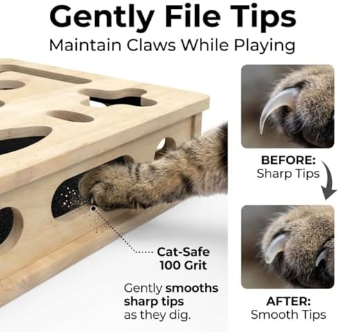 Cat Scratch Puzzle Enrichment Box, Interactive Cat Nail File with Sandpaper Liner for Claw Care, No-Stress Alternative to Clippers and Grinders for Indoor Cats