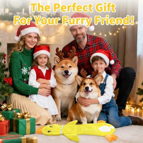 2 Pack Interactive Dog Toys for Small Dogs,No Stuffing Tug Toy