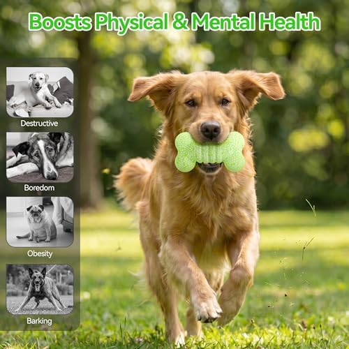 ALL FOR PAWS Dog Bone Toy, ETPU Bouncy Fetch Toys for Dog, Lightweight Dog Bone Toys for Medium & Large Dogs, High-Rebound Dog Interactive Toy for Outdoor & Indoor