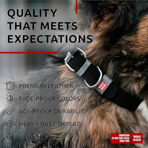 WAUDOG Genuine Leather Dog Collar Adjustable Large Medium Small QR Code Tag