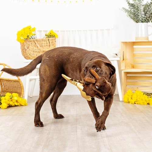 Fringe Studio Plush Dog Toy, Choc-A-Saurus Rex, Pet Shop Collection (314128)