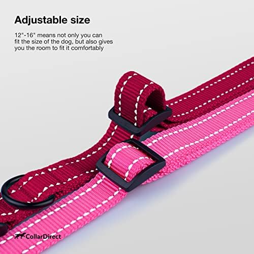 Reflective Dog Collar, Quick-Release Buckle (Red, 12-16 Inch)