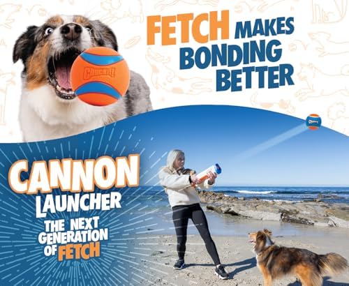 Chuckit! Max Cannon 24M Dog Ball Launcher for Fetch, 24-Inch Dog Fetch Toy and Interactive Ball Launcher, Works with Medium 2.5-Inch Balls, Includes 4 Balls