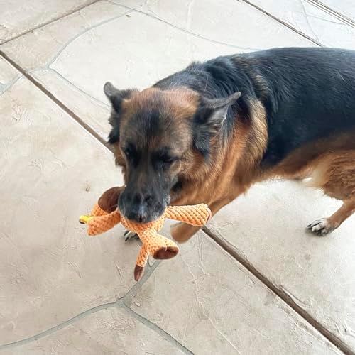 Jalousie Multipack Dog Squeaky Toys Strong Almost Indestructible, with Added Liner for Longer Play Dog Chew Toys (Medium to Large Breeds, 5 Pack Checks for Aggressive Chewers)