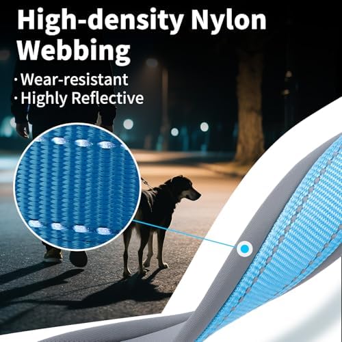 Segarty Reflective Heavy Duty Dog Collar for Medium Dogs, Adjustable Wide Soft Comfortable Breathable Neoprene Padded Nylon Collar with Metal Buckle for Medium Small Breeds (M, Light Blue)
