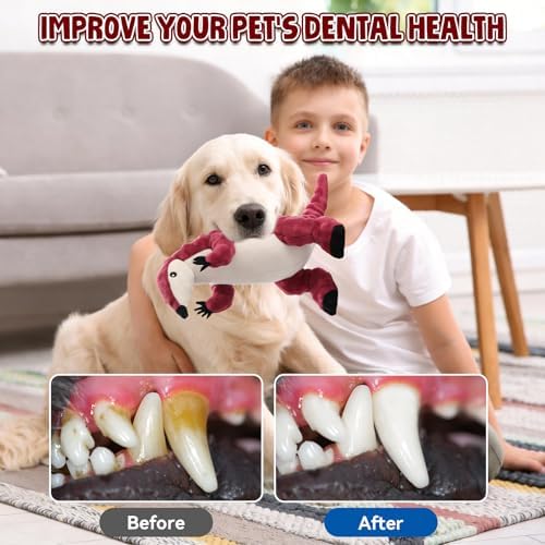 loncoldy Plush Chew Toys for Dogs Squeaky Dog Toys for Medium Small Dogs Tough Stuffed Animal Plush Dog Toy to Keep Them Busy