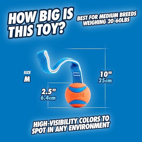 Chuckit! Ultra Tug Dog Toy, Medium Fetch and Dog Ball Tug Toy for Dogs 20-60 Pounds (Pack of 12)