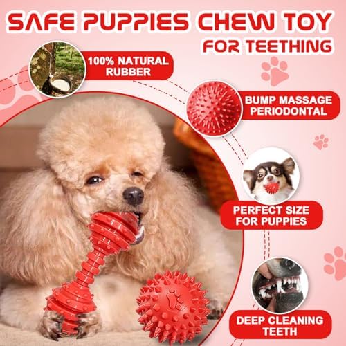 Puppy Toys - 7 Pack Puppies & Small Dogs Chew Toys for Teething,Relieves Teething Anxiety, Soft & Durable Interactive Toys, Not for Heavy Chewer
