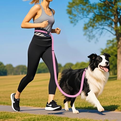 Puppy Dog Collar & Hands-Free Dog Leash Adjustable Length 5-8 Ft Adjustable Nylon Collar with Quick-Release Buckle